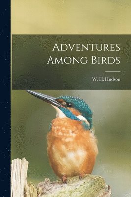 W H Hudson - Adventures Among Birds, Häftad