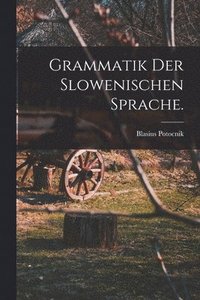 bokomslag Grammatik der slowenischen Sprache.