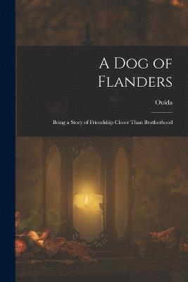 bokomslag A Dog of Flanders