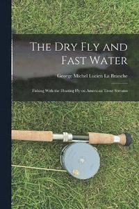 bokomslag Dry Fly and Fast Water