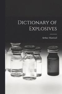 bokomslag Dictionary of Explosives