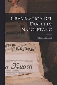 bokomslag Grammatica Del Dialetto Napoletano
