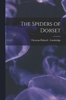 The Spiders of Dorset 1