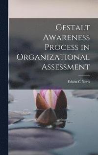 bokomslag Gestalt Awareness Process in Organizational Assessment