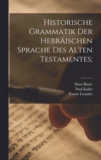bokomslag Historische Grammatik der hebrischen Sprache des Alten Testamentes;