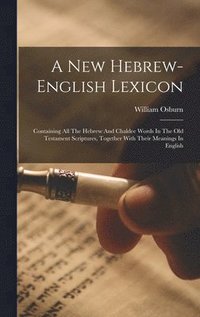 bokomslag A New Hebrew-english Lexicon