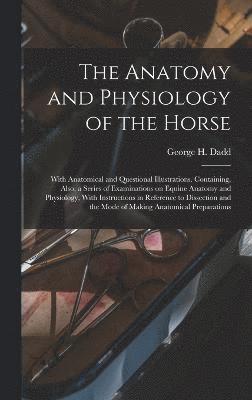 bokomslag The Anatomy and Physiology of the Horse