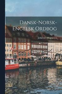 bokomslag Dansk-Norsk-Engelsk Ordbog