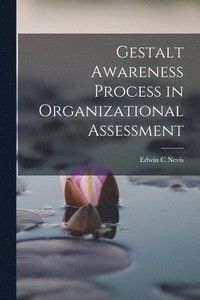 bokomslag Gestalt Awareness Process in Organizational Assessment