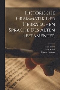 bokomslag Historische Grammatik der hebrischen Sprache des Alten Testamentes;