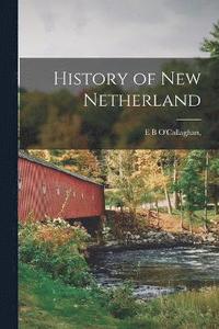 bokomslag History of New Netherland