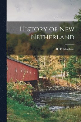 Edmund Bailey O'Callaghan - History of New Netherland, Häftad