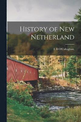 Edmund Bailey O'Callaghan, E B O'Callaghan, - History of New Netherland, Häftad
