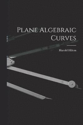 Plane Algebraic Curves 1