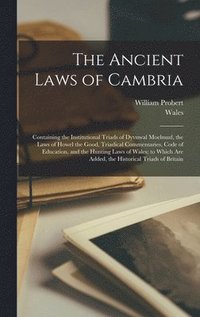 bokomslag The Ancient Laws of Cambria