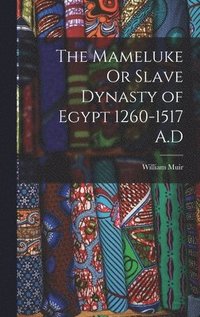 bokomslag The Mameluke Or Slave Dynasty of Egypt 1260-1517 A.D