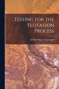 bokomslag Testing for the Flotation Process