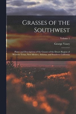 bokomslag Grasses of the Southwest