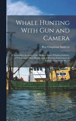 Whale Hunting With Gun and Camera 1