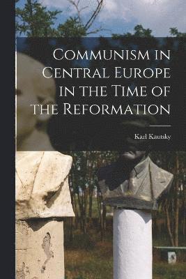 bokomslag Communism in Central Europe in the Time of the Reformation