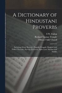 bokomslag A Dictionary of Hindustani Proverbs