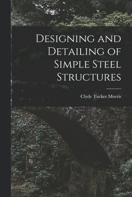 Designing and Detailing of Simple Steel Structures 1