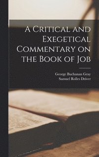 bokomslag A Critical and Exegetical Commentary on the Book of Job