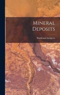 bokomslag Mineral Deposits