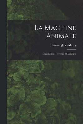 La Machine Animale 1