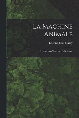 Machine Animale