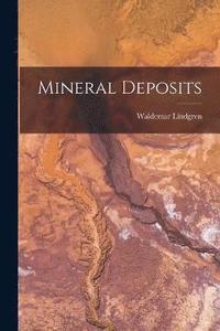 bokomslag Mineral Deposits