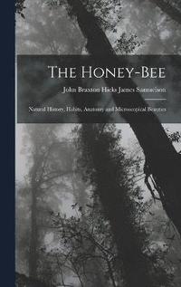 bokomslag The Honey-bee; Natural History, Habits, Anatomy and Microscopical Beauties