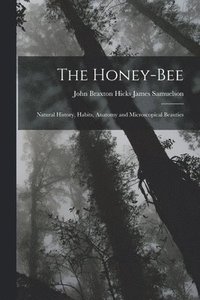 bokomslag The Honey-bee; Natural History, Habits, Anatomy and Microscopical Beauties