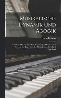 bokomslag Musikalische Dynamik Und Agogik