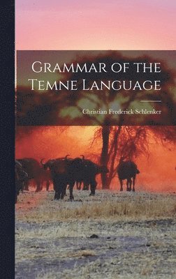 bokomslag Grammar of the Temne Language