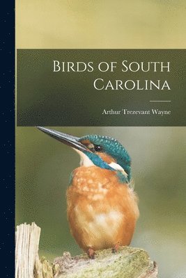 bokomslag Birds of South Carolina