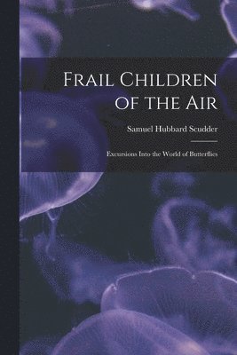 bokomslag Frail Children of the Air