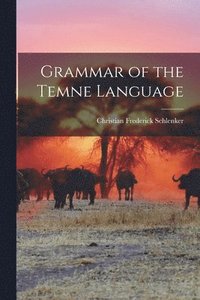 bokomslag Grammar of the Temne Language