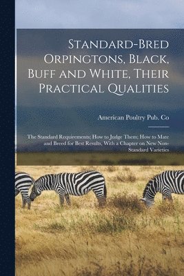 bokomslag Standard-bred Orpingtons, Black, Buff and White, Their Practical Qualities; the Standard Requirements; how to Judge Them; how to Mate and Breed for Best Results, With a Chapter on new Non-standard ...
