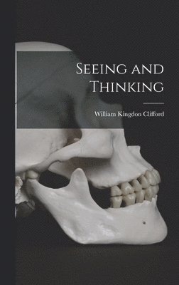Seeing and Thinking 1