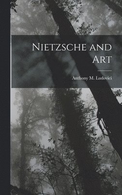 bokomslag Nietzsche and Art