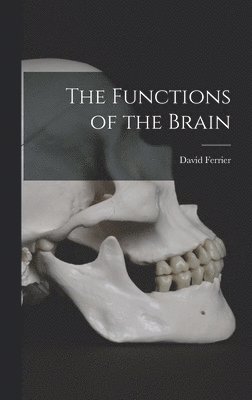 The Functions of the Brain 1