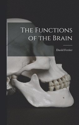 Functions of the Brain