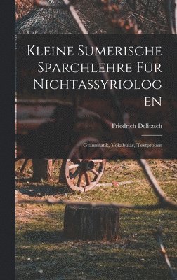 Friedrich Delitzsch - Kleine sumerische Sparchlehre für Nichtassyriologen; Grammatik, Vokabular, Textproben, Inbunden