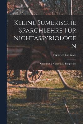 Friedrich Delitzsch - Kleine sumerische Sparchlehre für Nichtassyriologen; Grammatik, Vokabular, Textproben, Häftad