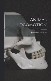 bokomslag Animal Locomotion