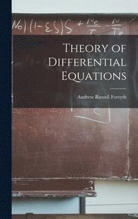 bokomslag Theory of Differential Equations