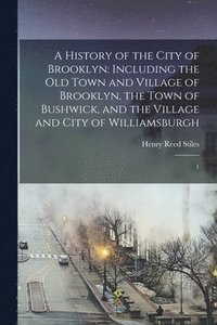 bokomslag A History of the City of Brooklyn