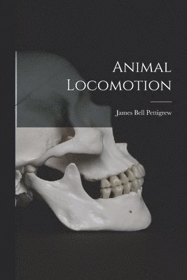 bokomslag Animal Locomotion