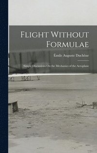 bokomslag Flight Without Formulae